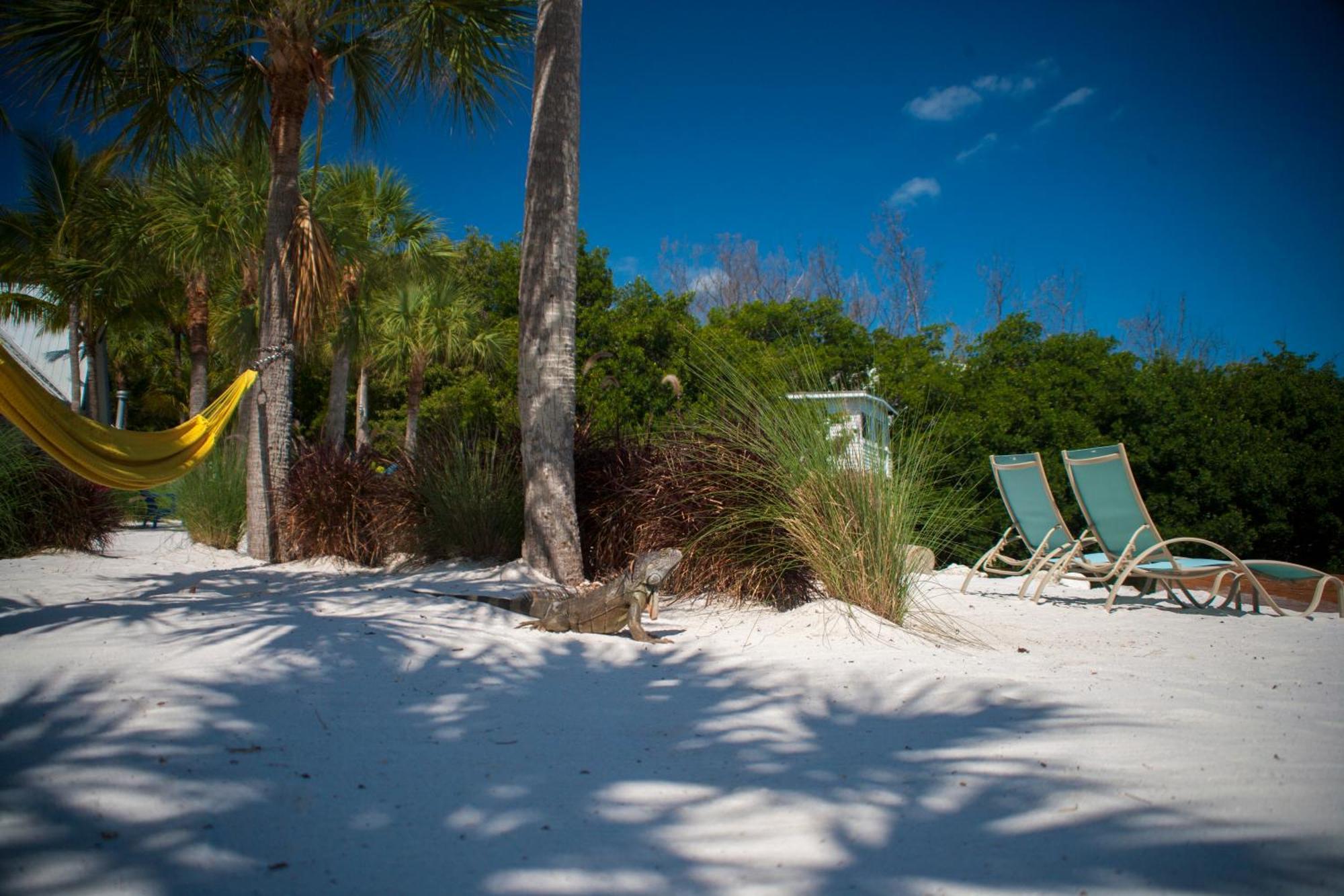 Ibis Bay Resort Key West Quarto foto